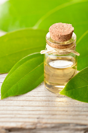cinnamon oil and fresh cinnamon leaves on the wooden boardの写真素材