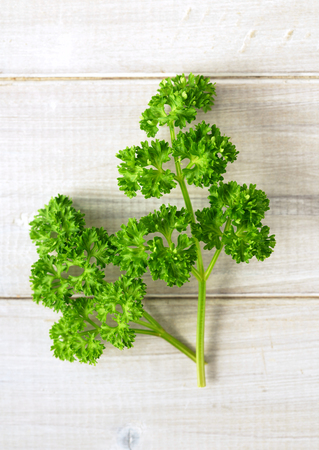fresh curly parsley leaves on the wooden tableの写真素材