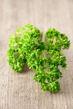 fresh curly parsley leaves on the wooden tableの写真素材