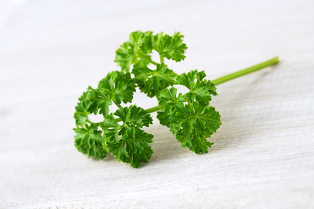 fresh curly parsley leaves on the wooden tableの写真素材