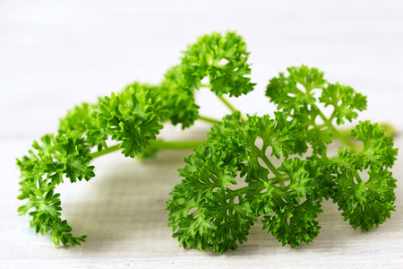fresh curly parsley leaves on the wooden tableの写真素材
