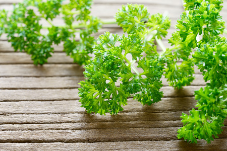 fresh curly parsley leaves on the wooden tableの写真素材