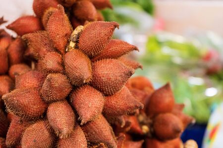 Close up of Salacca Fruits (Salacca wallichiana) Have a lot of fiber, vitamins, healthcare food conceptの写真素材