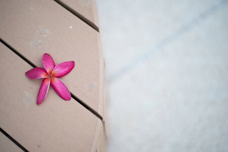 pink flower on wooden table background, Summer Vacation and travel concept, with copy spaceの写真素材