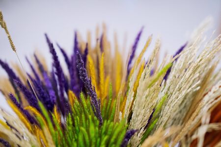 CLOSE UP OF Colorful Dried Ear Of Rice and dried plants for home decorationの写真素材