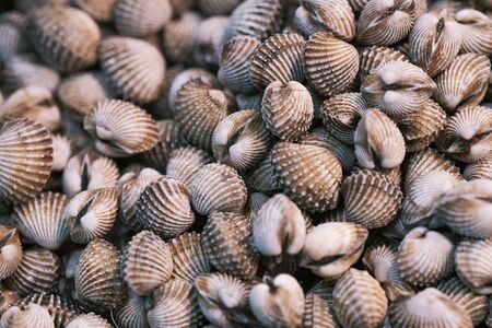 Steamed cockle, Boiled cockles, blood cockles, thai street food market