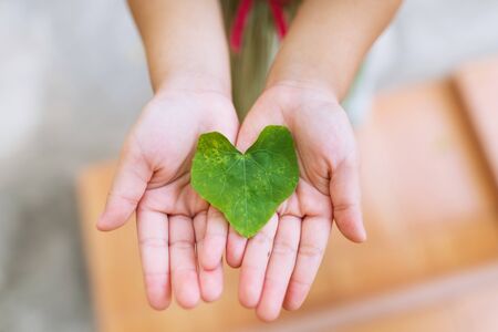 Close up of heart shape green ivy leaf in kid handの写真素材