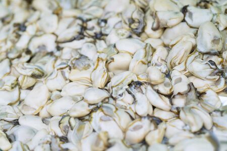 Close up of Fresh Oysters thai street food marketの写真素材