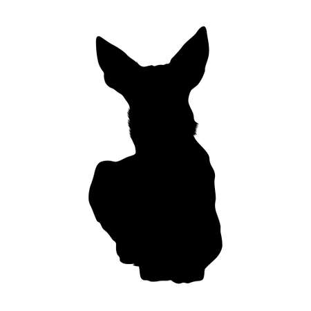 Sitting On a Front Australian Kelpie Dog Silhouetteのイラスト素材