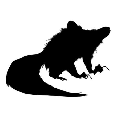 Standing Aye Aye Silhouette Side View Preview Isolated On White Backgroundのイラスト素材