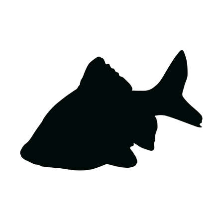 Barb Fish, Swiming Underwater Sea, Puntius Tetrazona Silhouette Vector Styleのイラスト素材