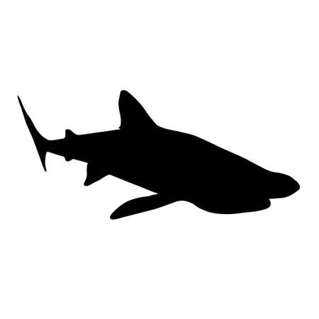 Basking Shark Silhouette Underwater Vectorのイラスト素材