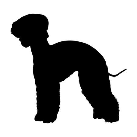 Bedlington Terrier Dog, Silhouette, Northumberland, North East Englandのイラスト素材