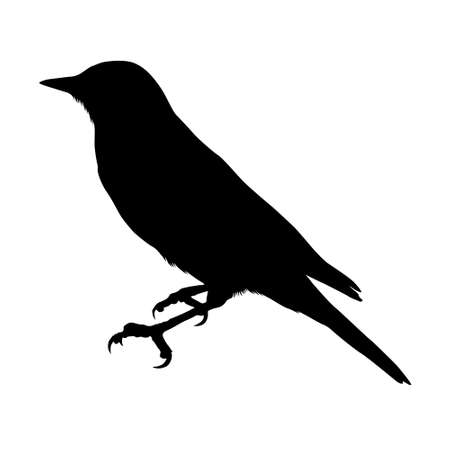 Bird, Silhouette Vector Style, All Around The Worldのイラスト素材