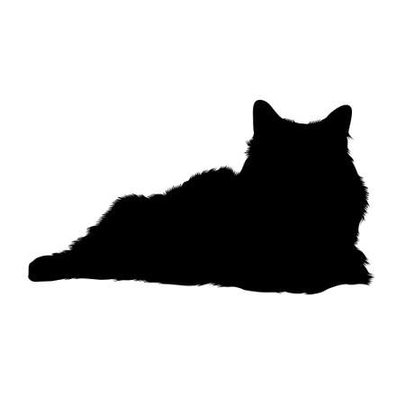 Sitting Birman Cat, Burmese Cat, Silhouette, Myanmar, Burmaのイラスト素材