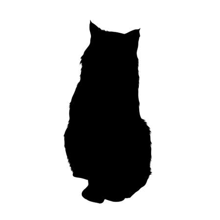 Cute Bobcat (lynx Rufus) Ready To Hunting, Silhouette, North Americaのイラスト素材