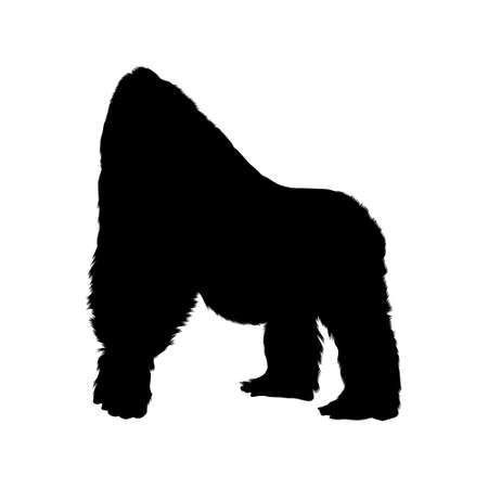 Cross River Gorilla (Gorilla Gorilla Diehli) Silhouette Vector Found In Map Of Africaのイラスト素材