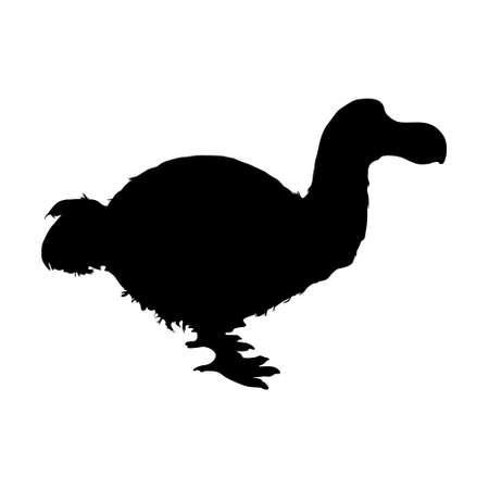 Dodo Bird (Raphus Cucullatus) Silhouette Vector Found In Indian Oceanのイラスト素材