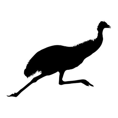 Animal Emu (Dromaius Novaehollandiae) Silhouette Found In Map Of Oceaniaのイラスト素材