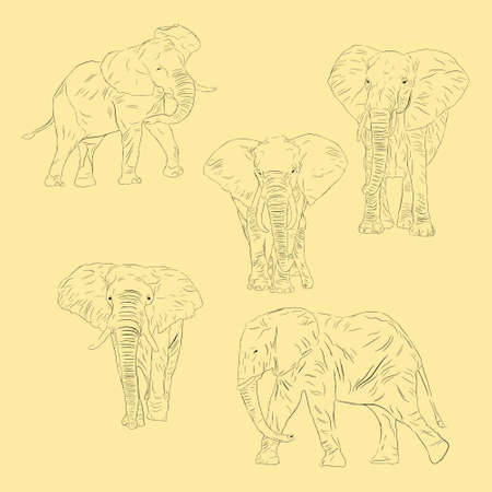 Simple Animal African Bush Elephant. Hand Drawn Sketch Setのイラスト素材