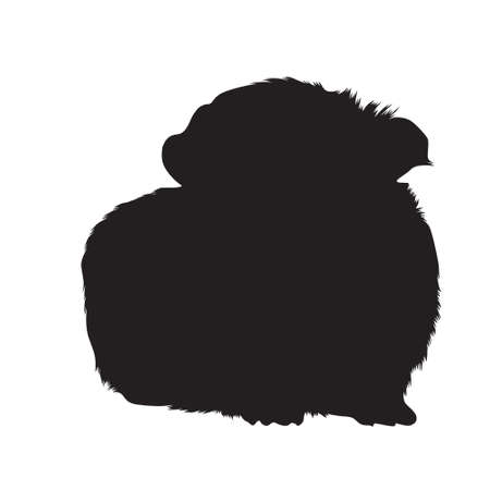 Guinea Pig (Cavia porcellus)  Sitting On a Front View Silhouette Found In Map Of South Africaのイラスト素材