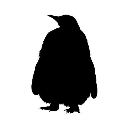 Standing King Penguin (Aptenodytes Patagonicus) On a Front View Silhouette Found In Antartica. Good To Use For Element Print Book, Animal Book and Animal Contentのイラスト素材