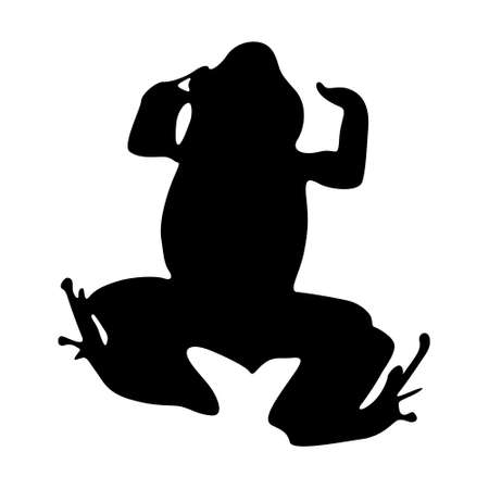 Standing Monte Iberia Eleuth (Eleutherodactylus Iberia) On a Upper View Silhouette Found In Map Of Antartica Ocean. Good To Use For Element Print Book, Animal Book and Animal Contentのイラスト素材