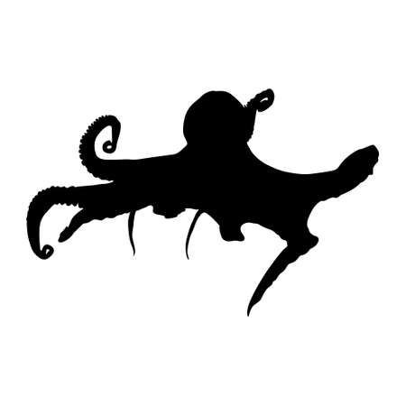 Octopus (Octopus Vulgaris) Swimming On a Front View Silhouette Found In Map Of Ocean All Around The World. Good To Use For Element Print Book, Animal Book and Animal Contentのイラスト素材