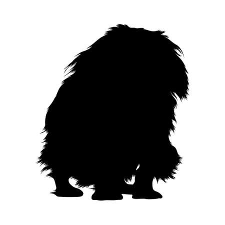 Pekingese Dog (Canis Lupus) Standing On a Front View Silhouette Found In Map Of Asia. Good To Use For Element Print Book, Animal Book and Animal Contentのイラスト素材