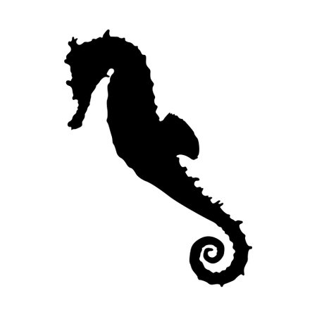Swimming Seahorses Good To Use For Element Print Book, Animal Book and Animal Contentのイラスト素材