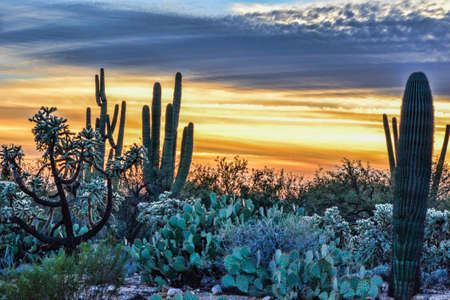 Southwestern Sunsetの写真素材