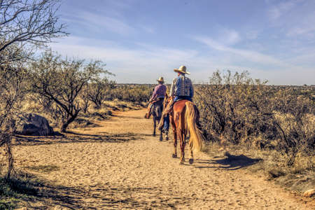 Horseback Ridingの写真素材