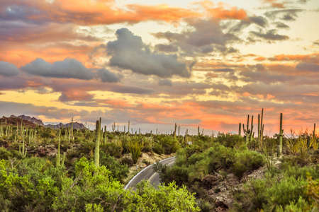 Road  Sunsetの写真素材