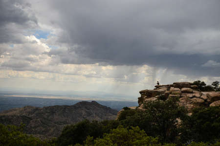 Monsoon Rain Falling over Tucson, Arizonaの写真素材