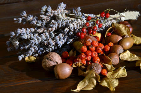 autumn bouquetの写真素材