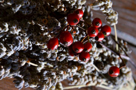 autumn bouquetの写真素材