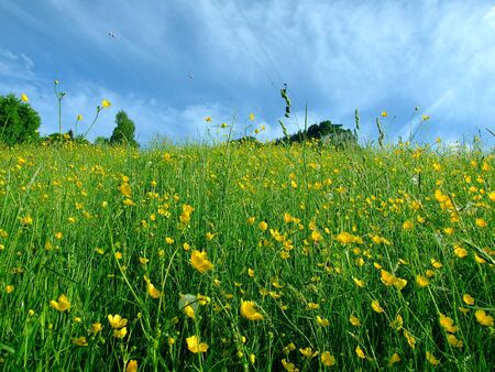 Cable car in Austria の写真素材