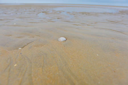 Beach or about the beach, water, sand, dunes, Camber sands.
