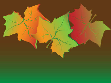 leavesのイラスト素材