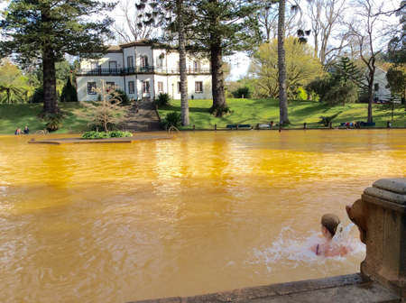 Thermal swimming pool in Terra Nostra Botanic Gardenの素材