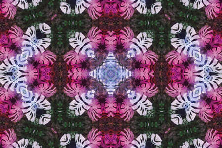 Blurred Symmetry monstera leaves mandala, kaleidoscope and design pattern abstract background.