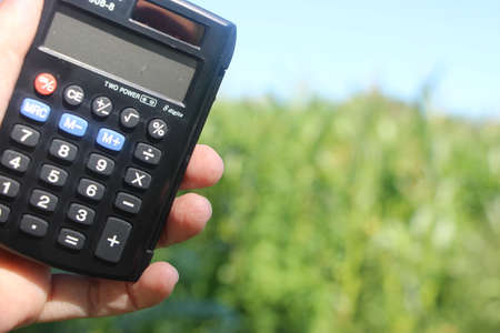 Farmer holding Calculator in hand to calculate production in field. Corn cob ready to harvest. Agriculture concept.の写真素材
