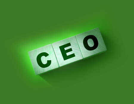 CEO letters on wooden cubes for Chief ExecutiveOfficer on red background. CEO business concept.の写真素材