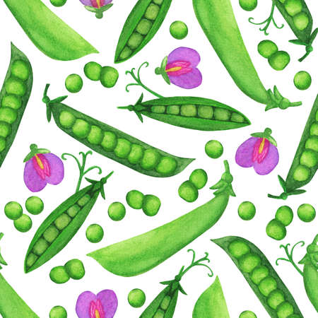 Watercolor green pea seamless pattern. Legume vegetable with flowers and leaves illustration for wallpaper, wrapping, background, fabric and textile, covering, poster. Autumn harvesting paintingの写真素材