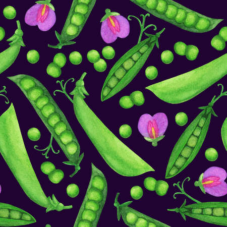 Watercolor green pea seamless pattern. Legume vegetable with flowers and leaves illustration for wallpaper, wrapping, background, fabric and textile, covering, poster. Autumn harvesting paintingの写真素材