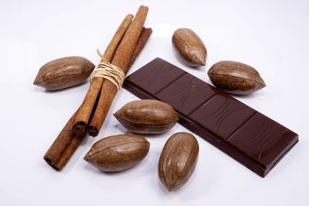 Chocolate candy bar, cinnamon and nuts on white backgroundの写真素材