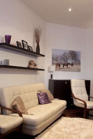 Daily room with leather seatingの写真素材