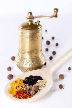 Taste colorful condiments on a white backgroundの写真素材