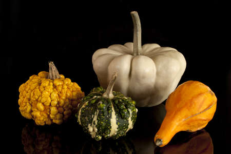 Colorful pumpkins on Halloween on a black backgroundの写真素材