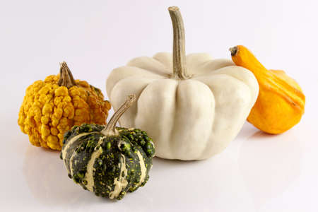Colorful vegetables on a white backgroundの写真素材